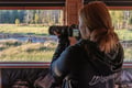The Ultimate Arctic Animals Trip in Lapland