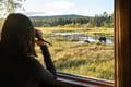 The Ultimate Arctic Animals Trip in Lapland