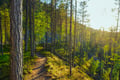 Hiking Trip to Korouoma Canyon and Auttiköngäs Waterfalls