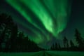 Northern Lights Family Tour (Private)