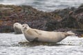 Private Snaefellsnes Peninsula Adventure: Tour from Reykjavik