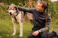 Rovaniemi: Autumn Husky Safari - Drive Your Own Husky Team (5-8 km), Small Group & BBQ