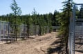 Rovaniemi: Autumn Husky Safari - Drive Your Own Husky Team (5-8 km), Small Group & BBQ