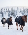 Morning Horse Ranch Experience - winter edition