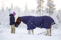 Morning Horse Ranch Experience - winter edition