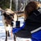 Snowmobile Safari to a Traditional Reindeer Farm in Levi