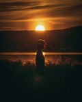 Midnight Sun Photo Experience