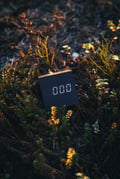 Midnight Sun Photo Experience