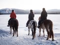 Private horseback riding tour in the snow