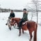 Private horseback riding tour in the snow