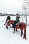 Private horseback riding tour in the snow