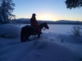 Private horseback riding tour in the snow