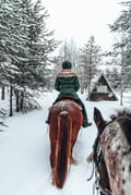 Private horseback riding tour in the snow