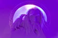 Adventure to Lapland Hotels Snow Village with transfers from Levi