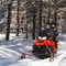 Easy Snowmobile Safari