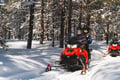 Easy Snowmobile Safari