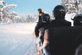 Easy Snowmobile Safari