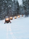 Easy Snowmobile Safari