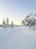 Easy Snowmobile Safari