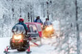 Easy Snowmobile Safari