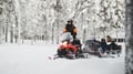 Easy Snowmobile Safari