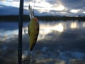 Arctic River Fishing Day