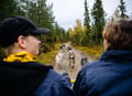 Running with the Pack - Autumn, 3km Husky tour with a Kennel visit