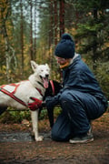 Running with the Pack - Autumn, 3km Husky tour with a Kennel visit