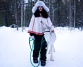 Reindeer farm and reindeer safari express 1 km, Levi