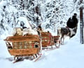 Reindeer farm and reindeer safari express 1 km, Levi