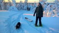 Snowshoe winter trek