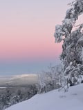 Explore Peaceful Pyhä National Park – Guided welcome tour & unique activities with transport