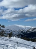 Explore Peaceful Pyhä National Park – Guided welcome tour & unique activities with transport