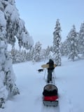 Explore Peaceful Pyhä National Park – Guided welcome tour & unique activities with transport
