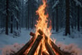 Rovaniemi: Insider Winter Wilderness Training