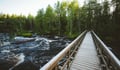VAATTUKIKONGAS HIKE : the forest trail