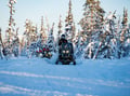 Daytime Snowmobile Safari with Wilderness Hut Lunch, Levi — adults only