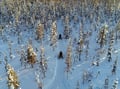 Daytime Snowmobile Safari with Wilderness Hut Lunch, Levi — adults only