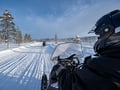 Daytime Snowmobile Safari with Wilderness Hut Lunch, Levi — adults only