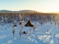 Daytime Snowmobile Safari with Wilderness Hut Lunch, Levi — adults only