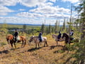 Horse riding whole day at wilderness area (ADVANCED ONLY)
