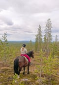 Horse riding whole day at wilderness area (ADVANCED ONLY)