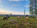 Horse riding whole day at wilderness area (ADVANCED ONLY)