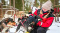 Husky Safari 10 km Self-Drive, Levi