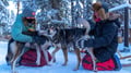 Husky Safari 10 km Self-Drive, Levi