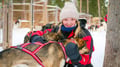 Husky Safari 10 km Self-Drive, Levi