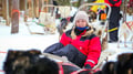 Husky Safari 10 km Self-Drive, Levi