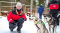 Husky Safari 10 km Self-Drive, Levi