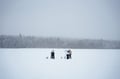 Rovaniemi: Ice Fishing Tour on Private Lakefront & BBQ - Small Group