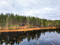 Private Wilderness Sauna Experience in Summer & Autumn